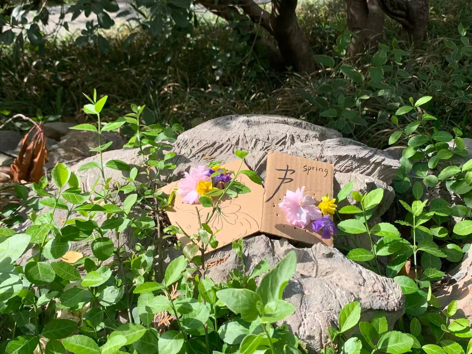 日常片段 17